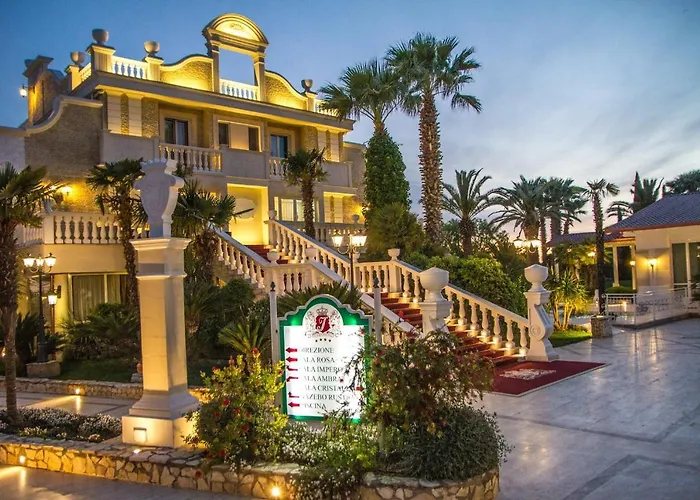 B&B International Patrizya